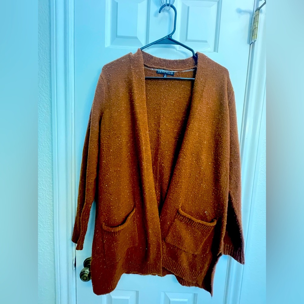 Rust colored cardigan sweater from Stitch Fix.